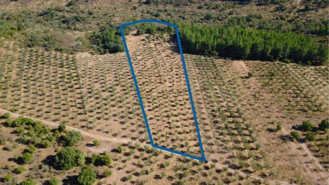 Terreno para Venda em Malpica do Tejo