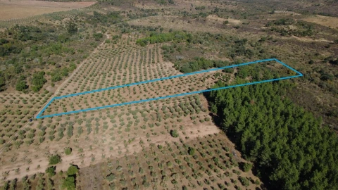 Terreno para Venda em Malpica do Tejo