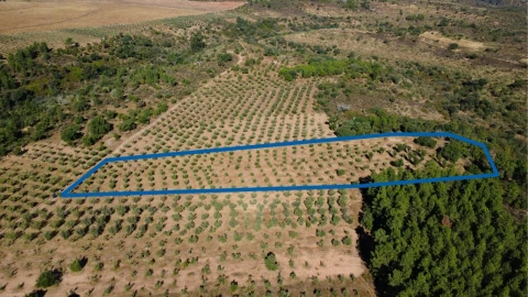 Terreno para Venda em Malpica do Tejo