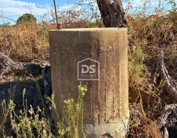 Quinta T0 para Venda em Ladoeiro