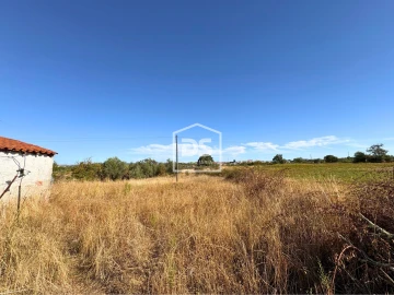Quinta T0 para Venda em Ladoeiro