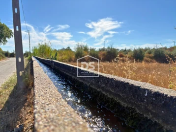 Quinta T0 para Venda em Ladoeiro
