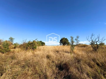 Quinta T0 para Venda em Ladoeiro
