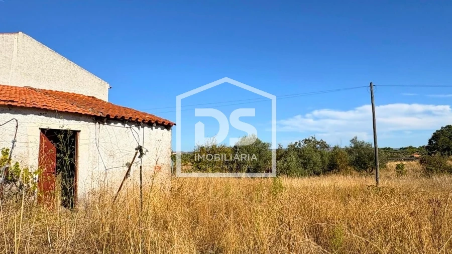 Quinta T0 para Venda em Ladoeiro