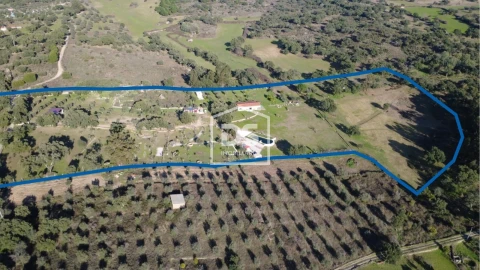 Quinta T3 para Venda em Escalos de Cima e Lousa