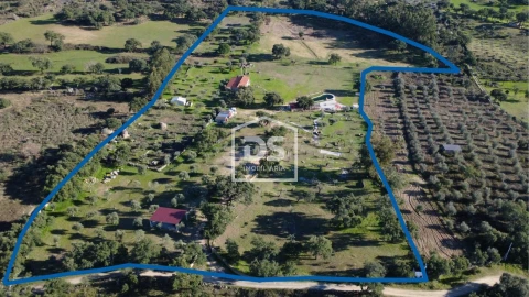 Quinta T3 para Venda em Escalos de Cima e Lousa