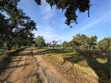 Quinta T3 para Venda em Escalos de Cima e Lousa