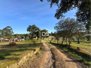Quinta T3 para Venda em Escalos de Cima e Lousa