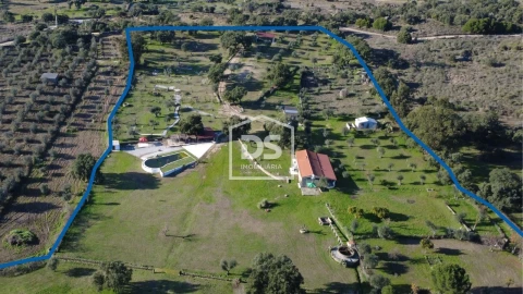 Quinta T3 para Venda em Escalos de Cima e Lousa