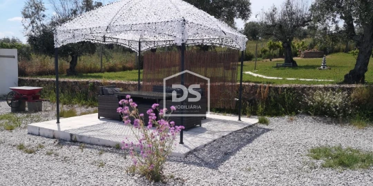 Quinta T3 para Venda em Escalos de Cima e Lousa