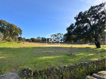 Quinta T3 para Venda em Escalos de Cima e Lousa