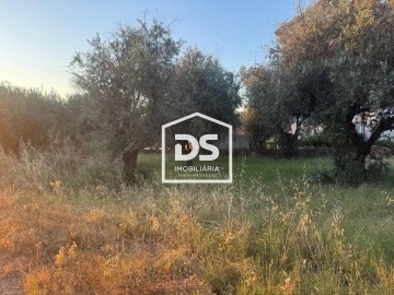 Quinta T8 para Venda em Castelo Branco