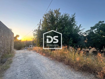 Quinta T8 para Venda em Castelo Branco