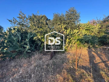 Quinta T8 para Venda em Castelo Branco