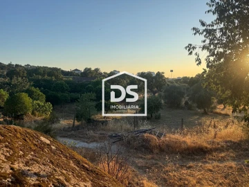 Quinta T8 para Venda em Castelo Branco