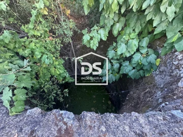 Quinta T8 para Venda em Castelo Branco