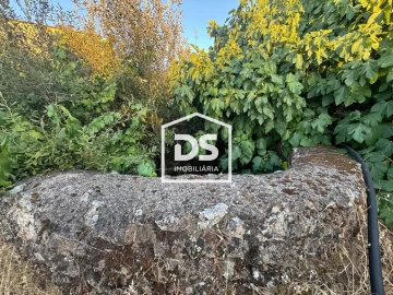 Quinta T8 para Venda em Castelo Branco