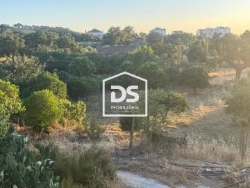 Quinta T8 para Venda em Castelo Branco