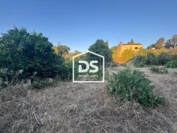 Quinta T8 para Venda em Castelo Branco