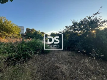 Quinta T8 para Venda em Castelo Branco