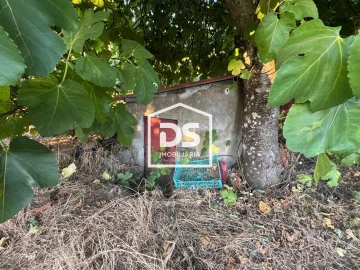 Quinta T8 para Venda em Castelo Branco