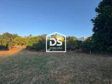 Quinta T8 para Venda em Castelo Branco