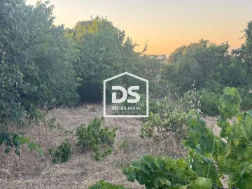 Quinta T8 para Venda em Castelo Branco