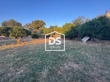 Quinta T8 para Venda em Castelo Branco