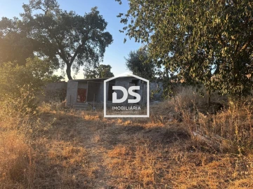 Quinta T8 para Venda em Castelo Branco