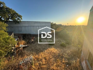 Quinta T8 para Venda em Castelo Branco