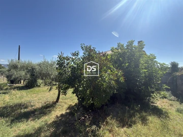 Terreno para Venda em Fundão, Valverde, Donas, A. Joanes, A. Nova Cabo