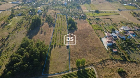 Quinta T0 para Venda em Fundão, Valverde, Donas, A. Joanes, A. Nova Cabo