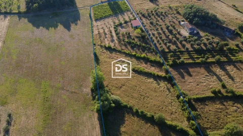 Quinta T0 para Venda em Fundão, Valverde, Donas, A. Joanes, A. Nova Cabo
