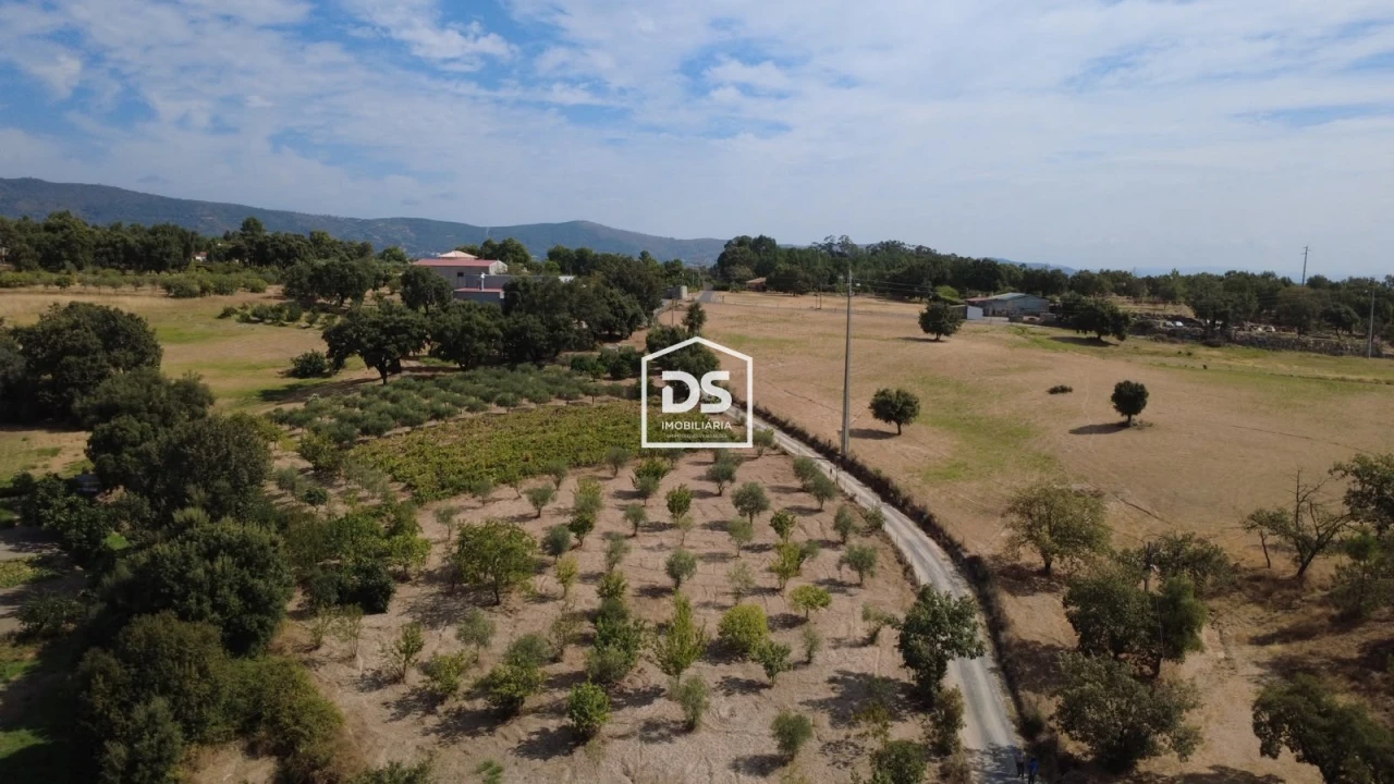 Terreno Agricola ou Rústico para Venda em Castelo Novo Foto 9