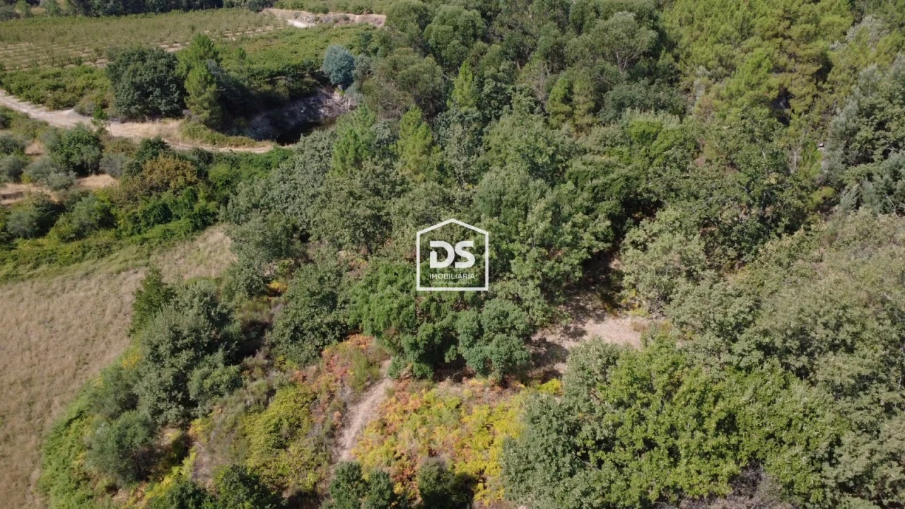 Terreno Agricola ou Rústico para Venda em Castelo Novo Foto 7