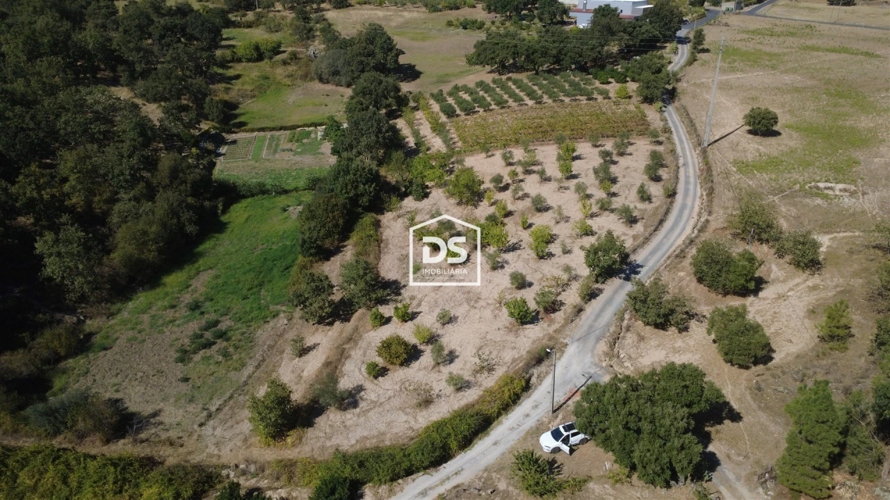 Terreno Agricola ou Rústico para Venda em Castelo Novo Foto 18