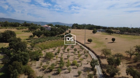 Terreno Agricola ou Rústico para Venda em Castelo Novo