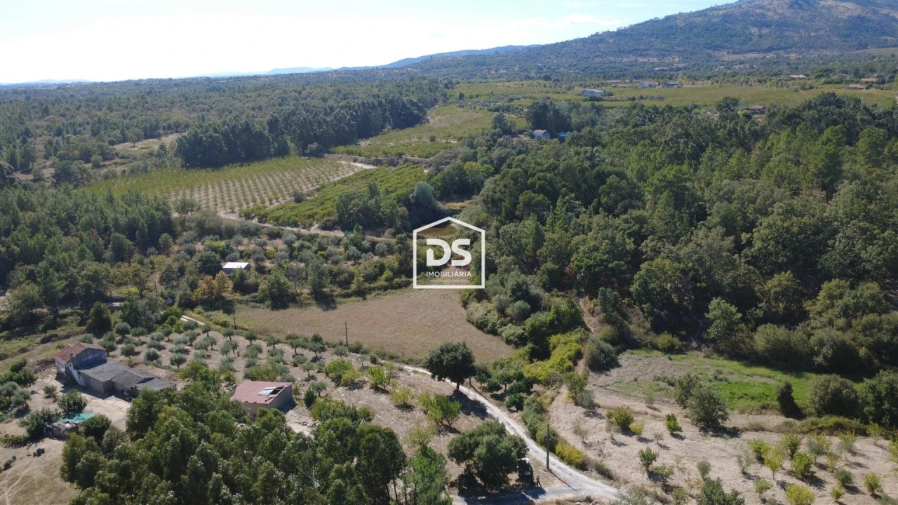 Terreno Agricola ou Rústico para Venda em Castelo Novo Foto 20