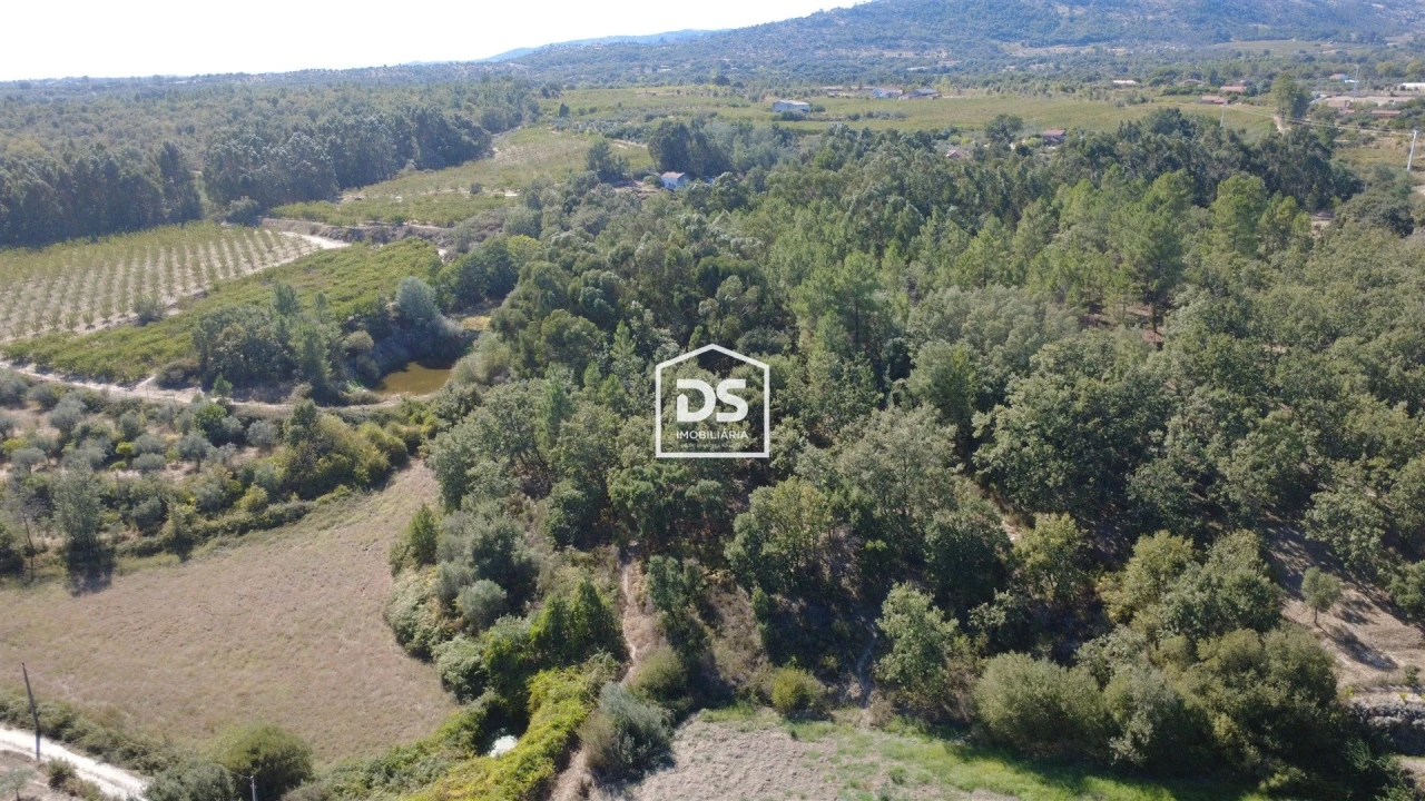 Terreno Agricola ou Rústico para Venda em Castelo Novo Foto 21