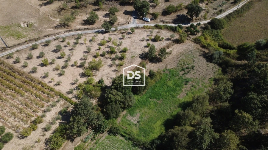 Terreno Agricola ou Rústico para Venda em Castelo Novo Foto 23