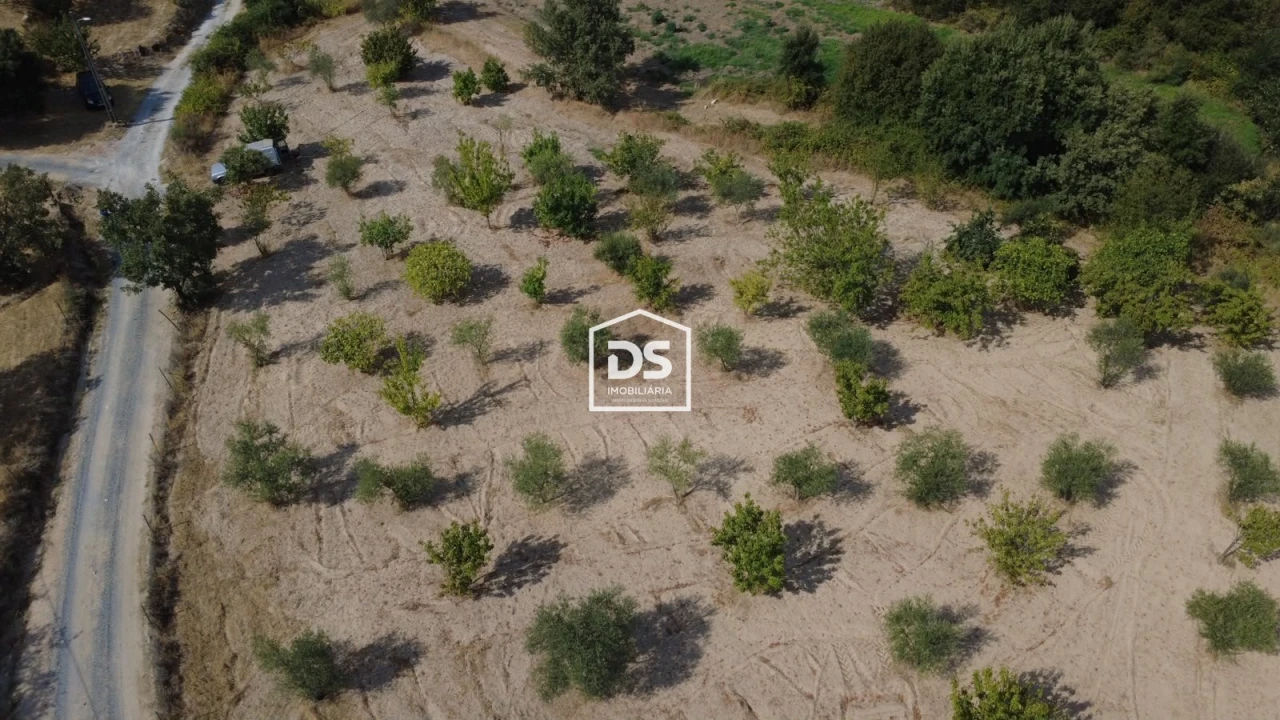 Terreno Agricola ou Rústico para Venda em Castelo Novo Foto 8