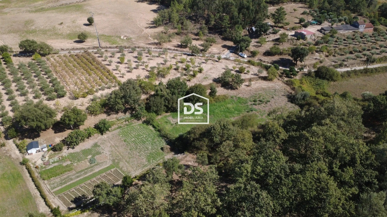 Terreno Agricola ou Rústico para Venda em Castelo Novo Foto 15