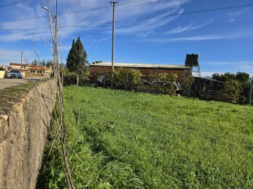 Terreno para Venda em Loureiro