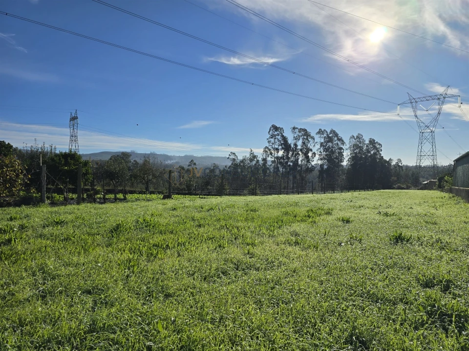Terreno para Venda em Loureiro Foto 10