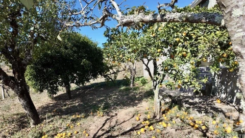 Moradia T3 para Venda em Figueiró dos Vinhos e Bairradas