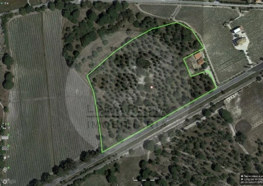 Terreno para Venda em Poceirão e Marateca