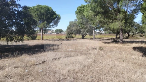 Terreno para Venda em Poceirão e Marateca
