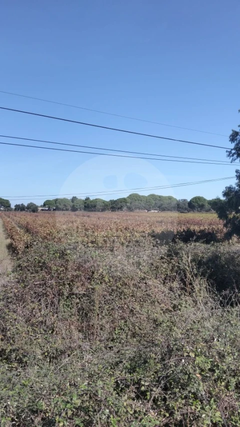 Terreno para Venda em Poceirão e Marateca