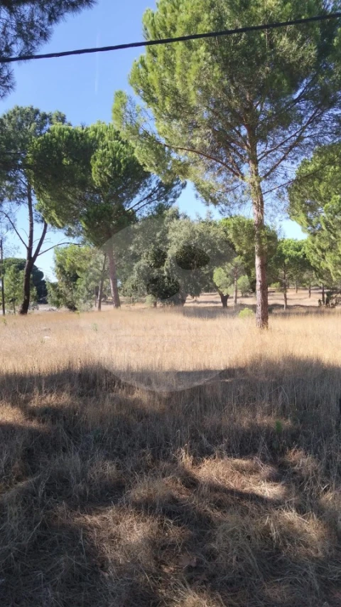 Terreno para Venda em Poceirão e Marateca