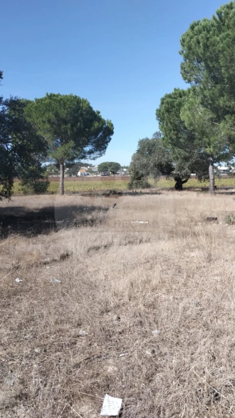 Terreno para Venda em Poceirão e Marateca